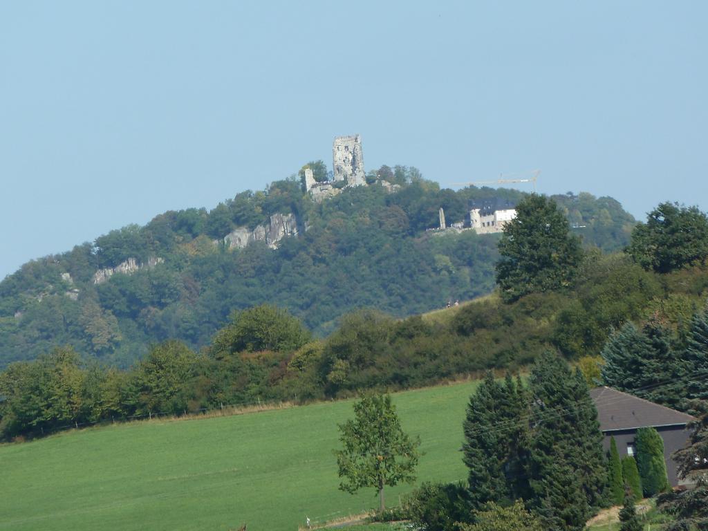 Hotel Dahl Wachtberg Екстер'єр фото